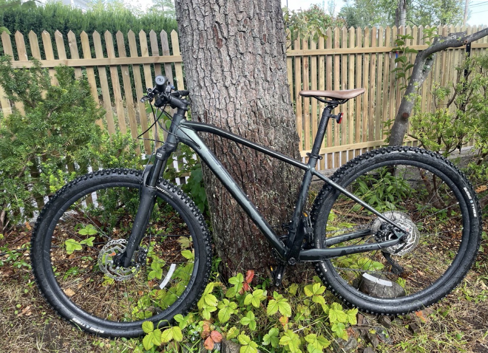 Scott Scale 930 terrengsykkel til leie i Oslo